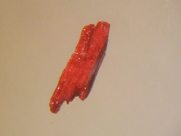 Abelsonite specimen