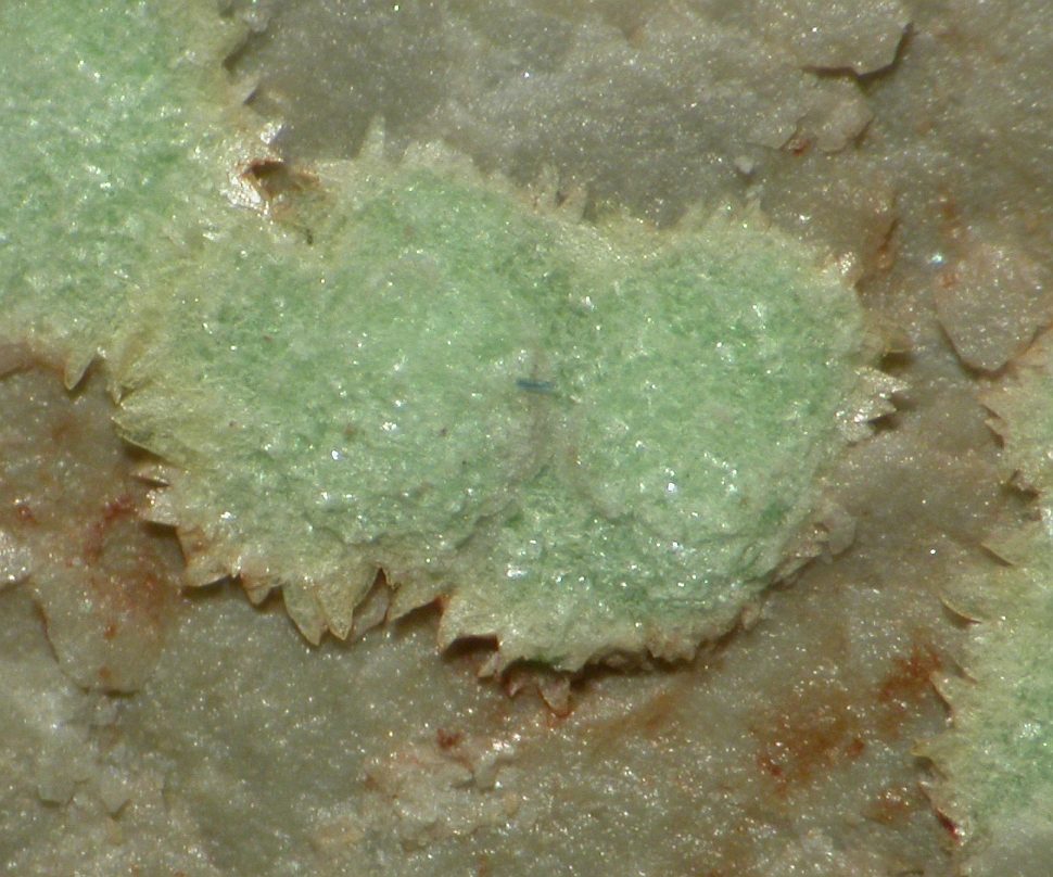 Abernathyite specimen