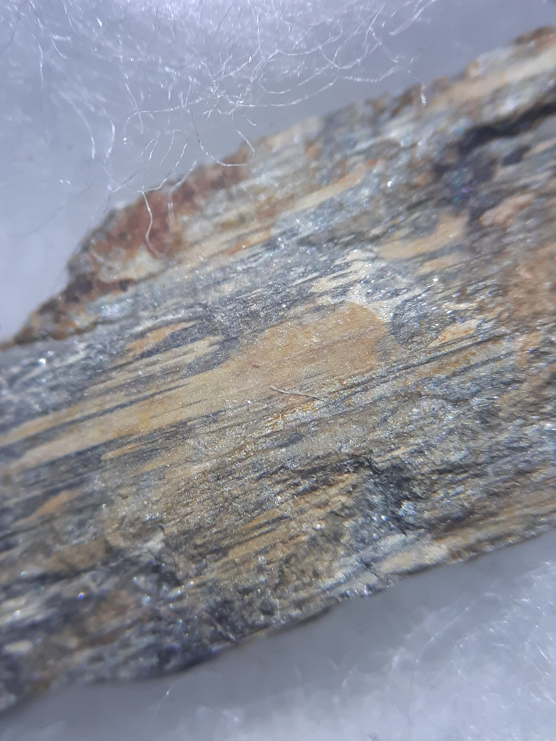 Bismoclite specimen