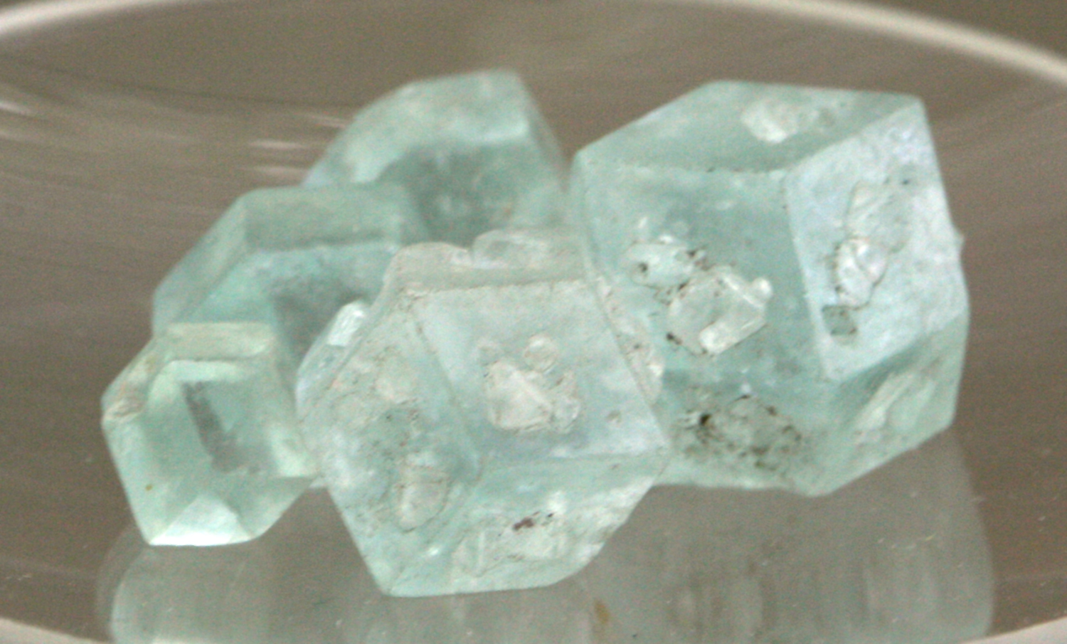 Boracite specimen