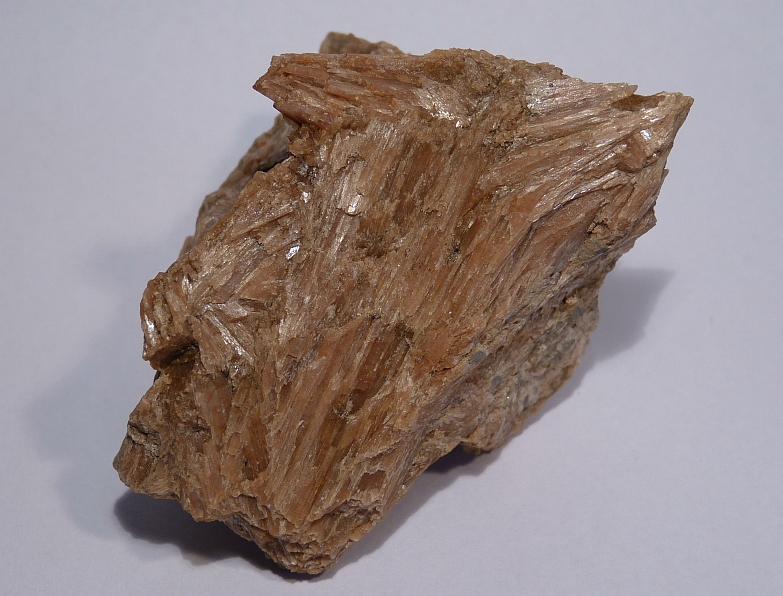 Bustamite specimen