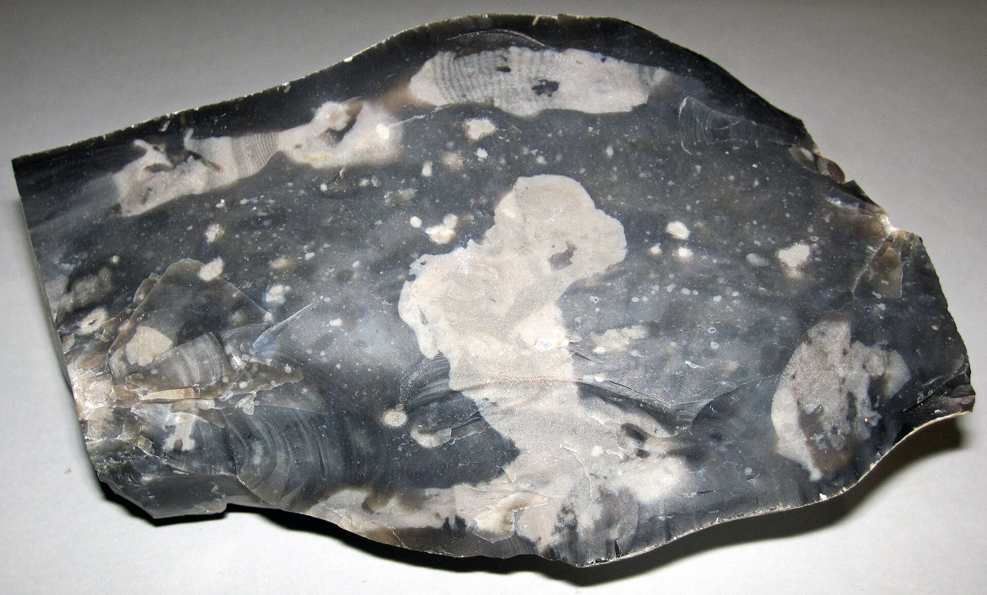 Chert specimen