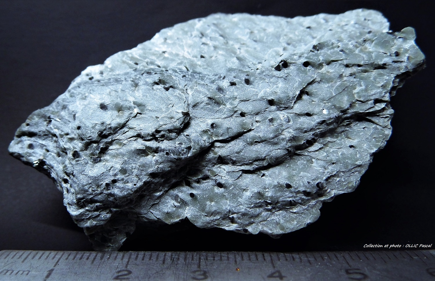 Chloritoid specimen