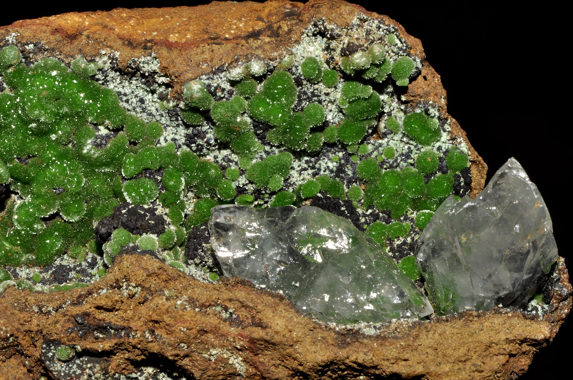 Conichalcite specimen