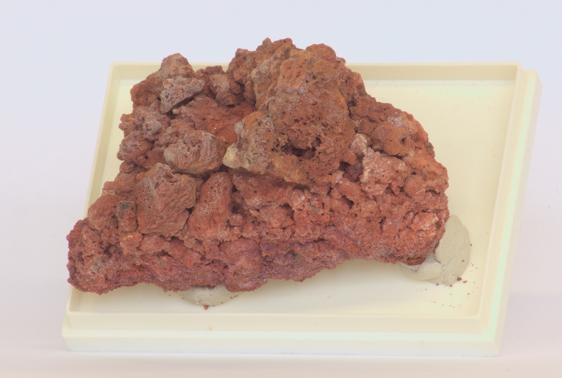 Cotunnite specimen