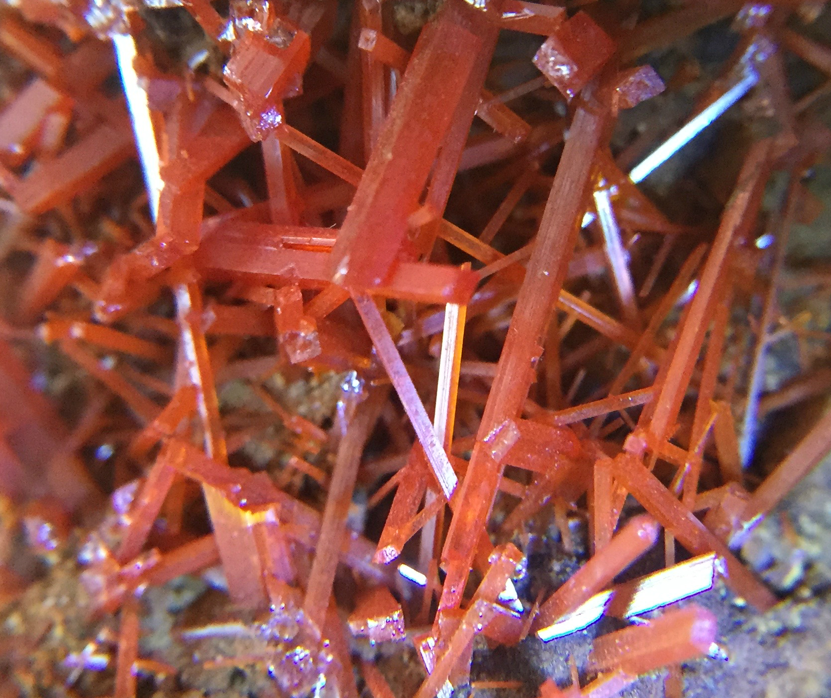 Crocoite specimen
