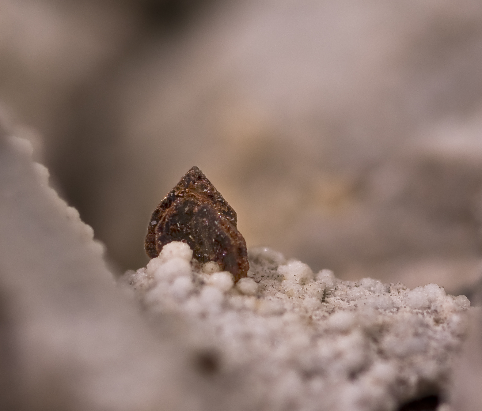 Fayalite specimen