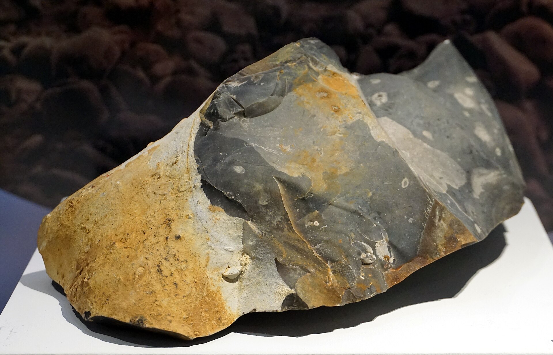 Flint specimen