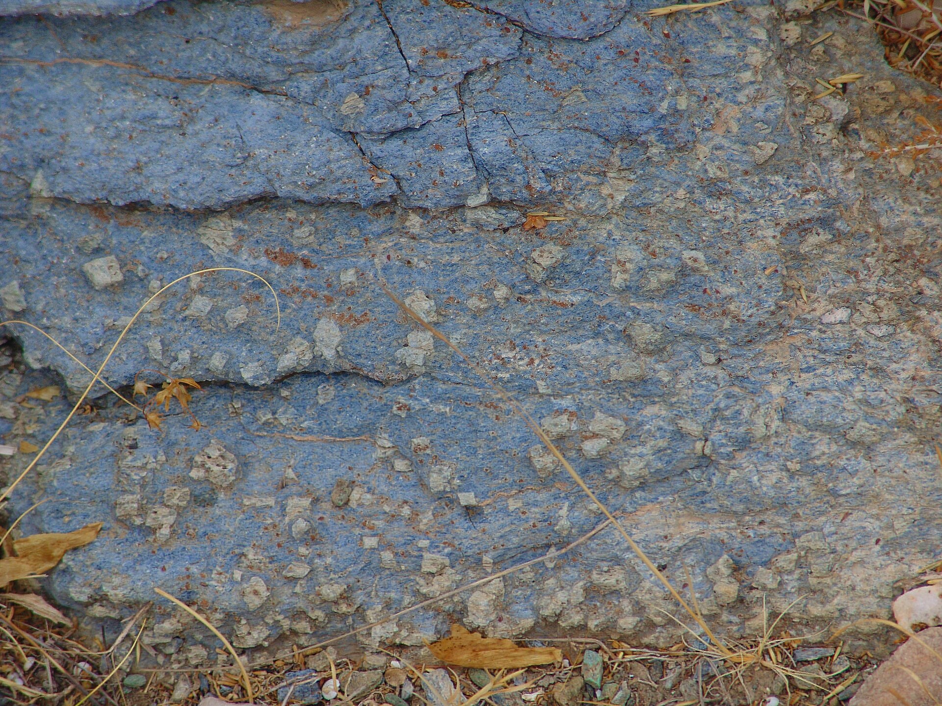 Glaucophane specimen
