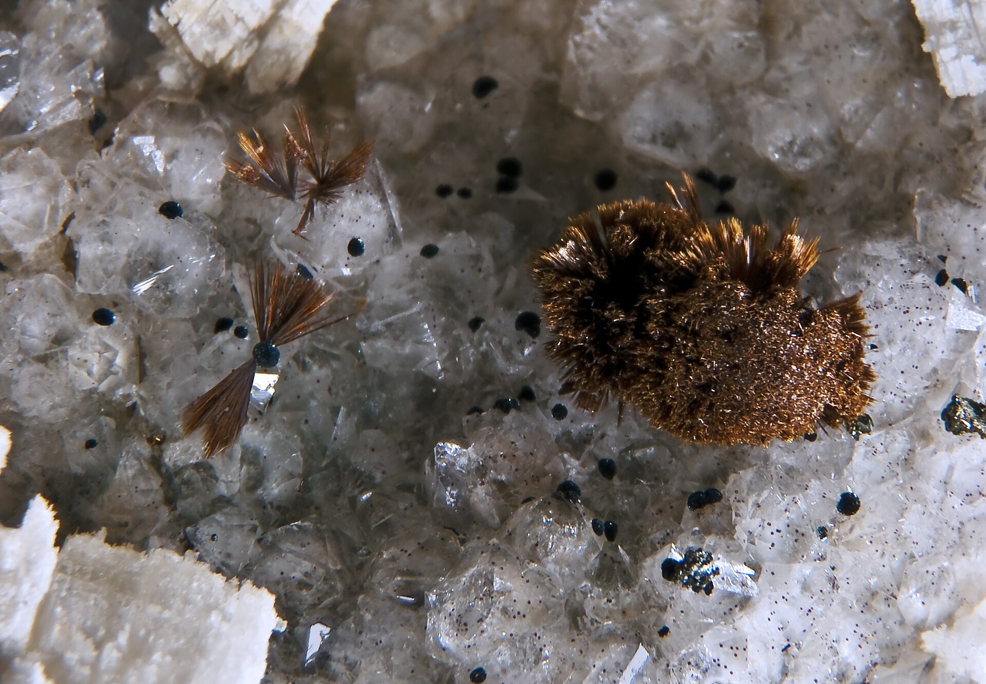 Goethite specimen