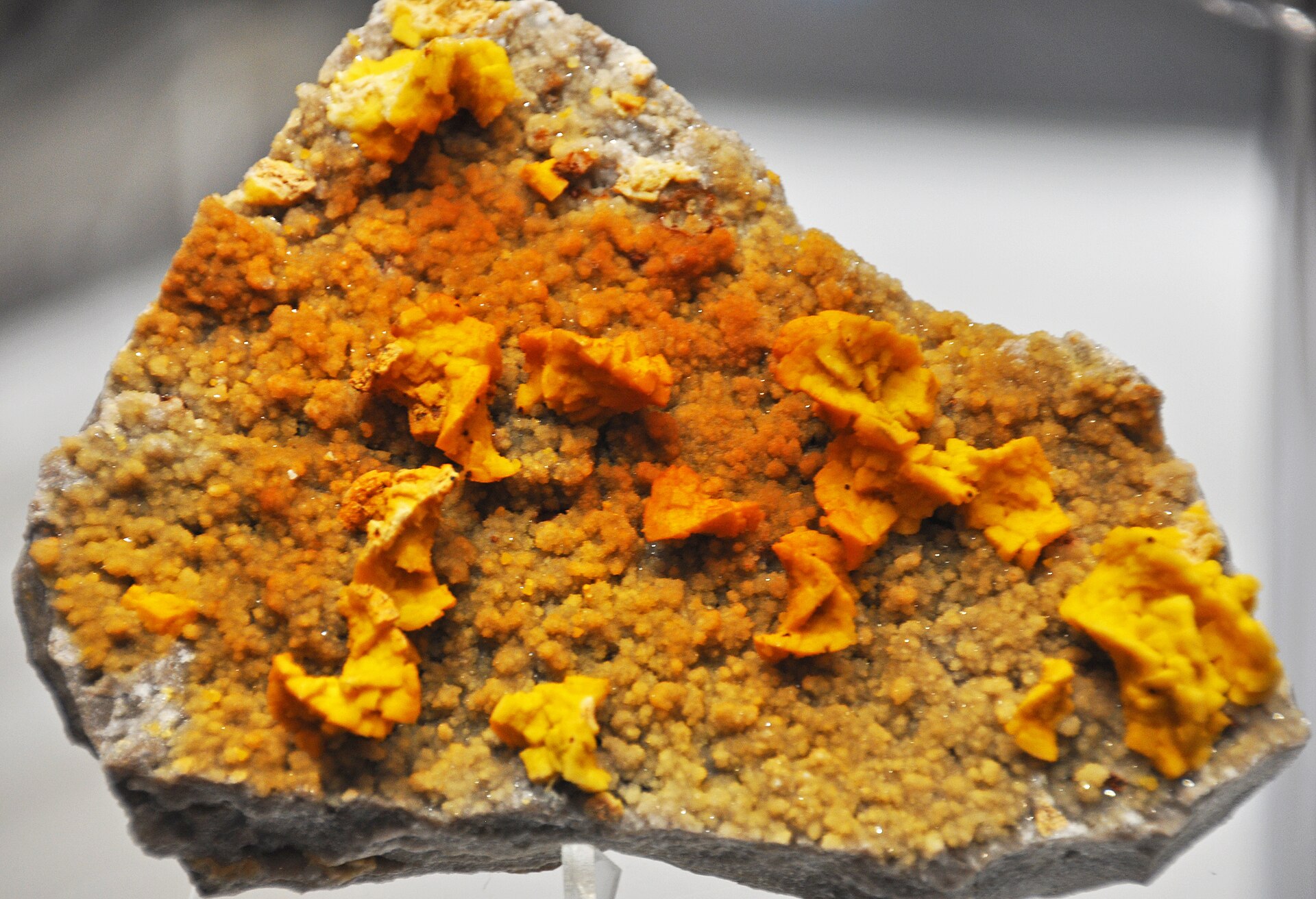 Greenockite specimen