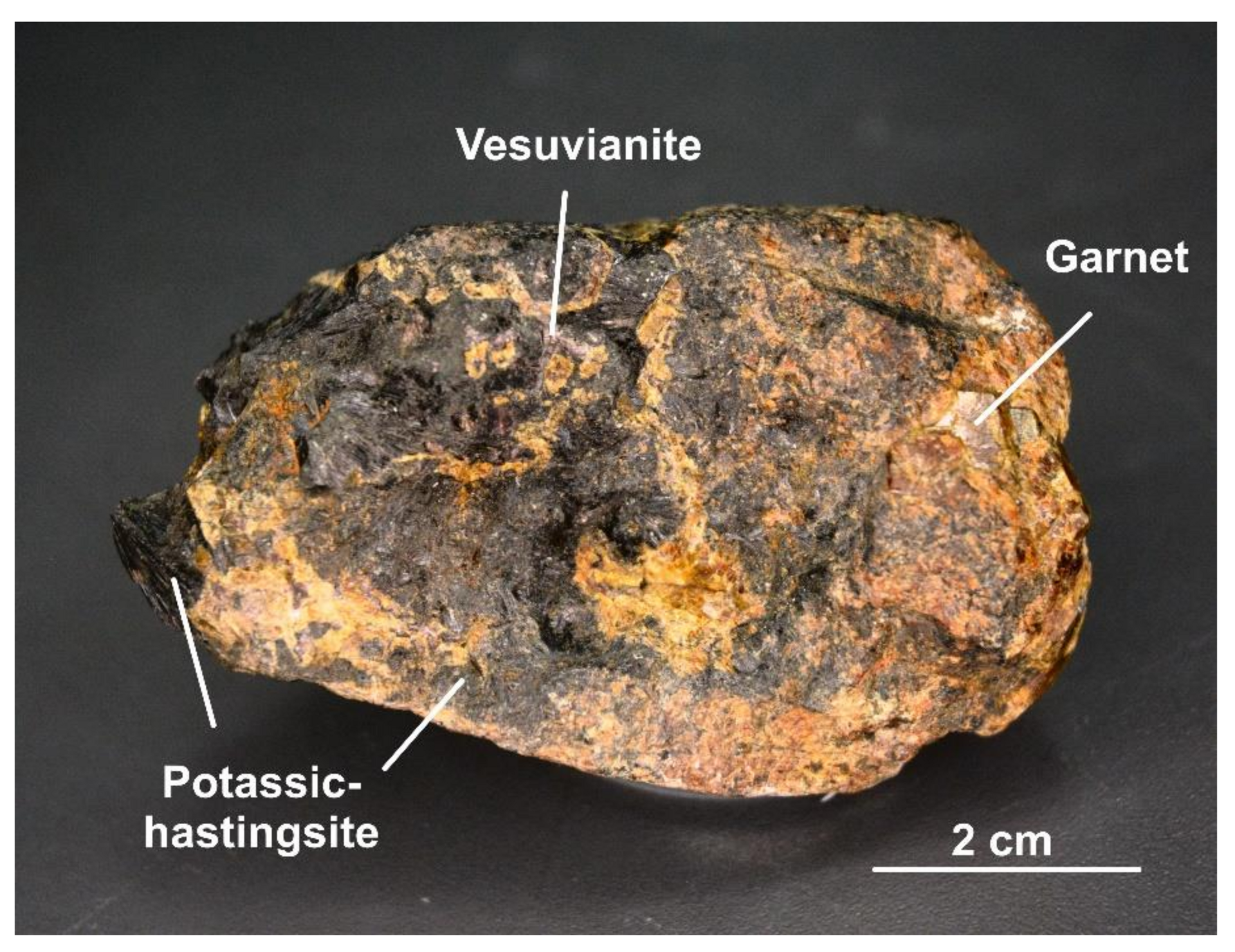 Hastingsite specimen