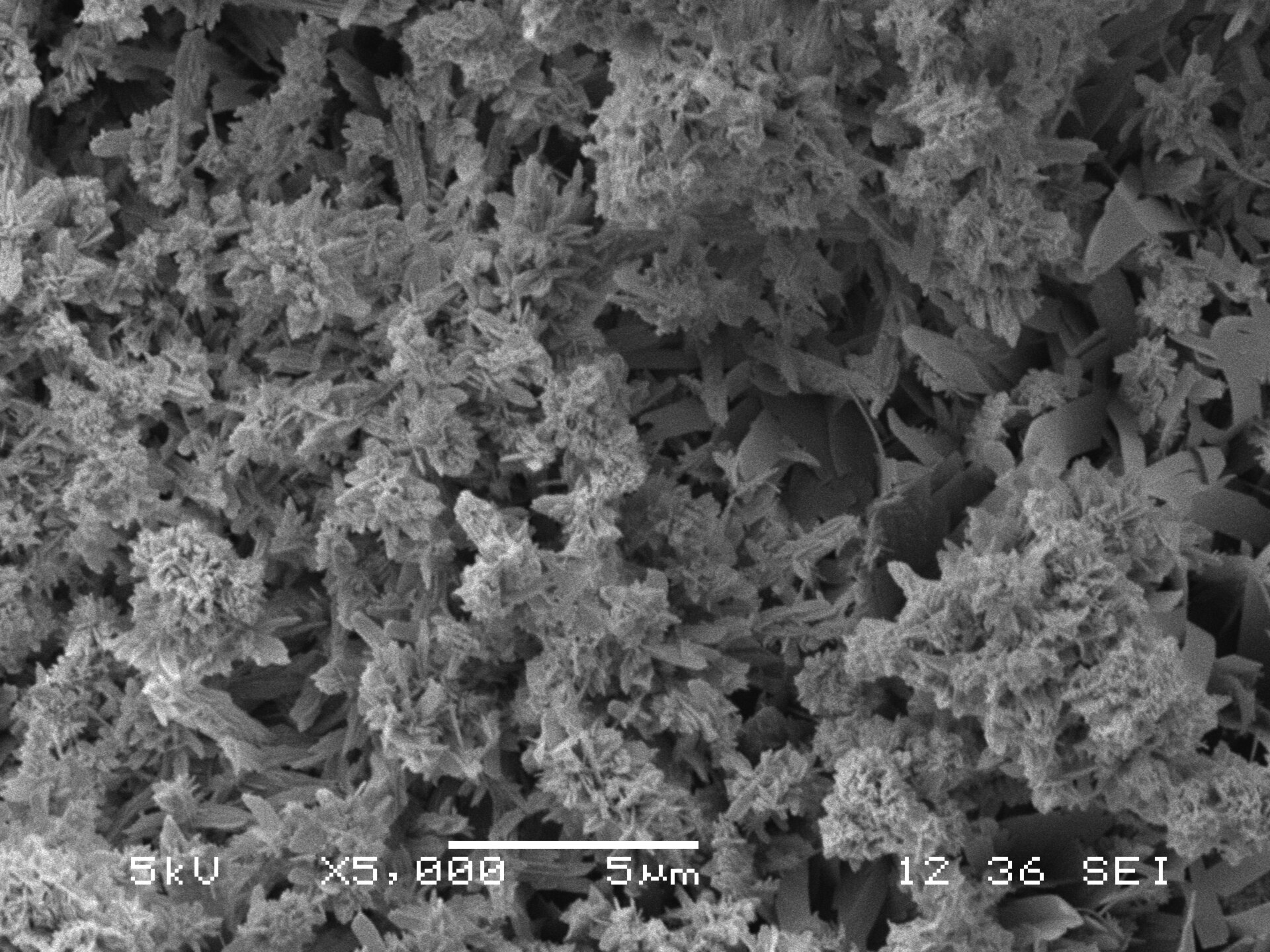 Hydroxylapatite specimen