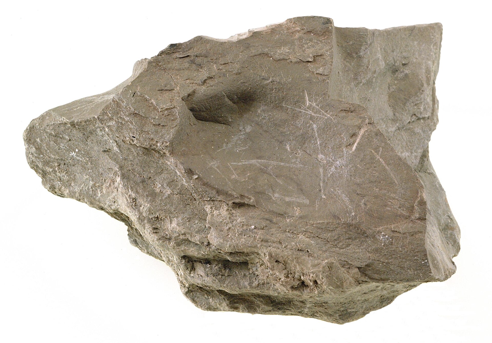 Illite specimen