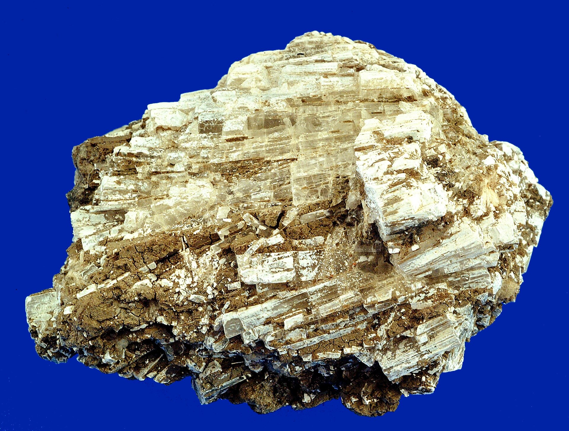 Inderite specimen