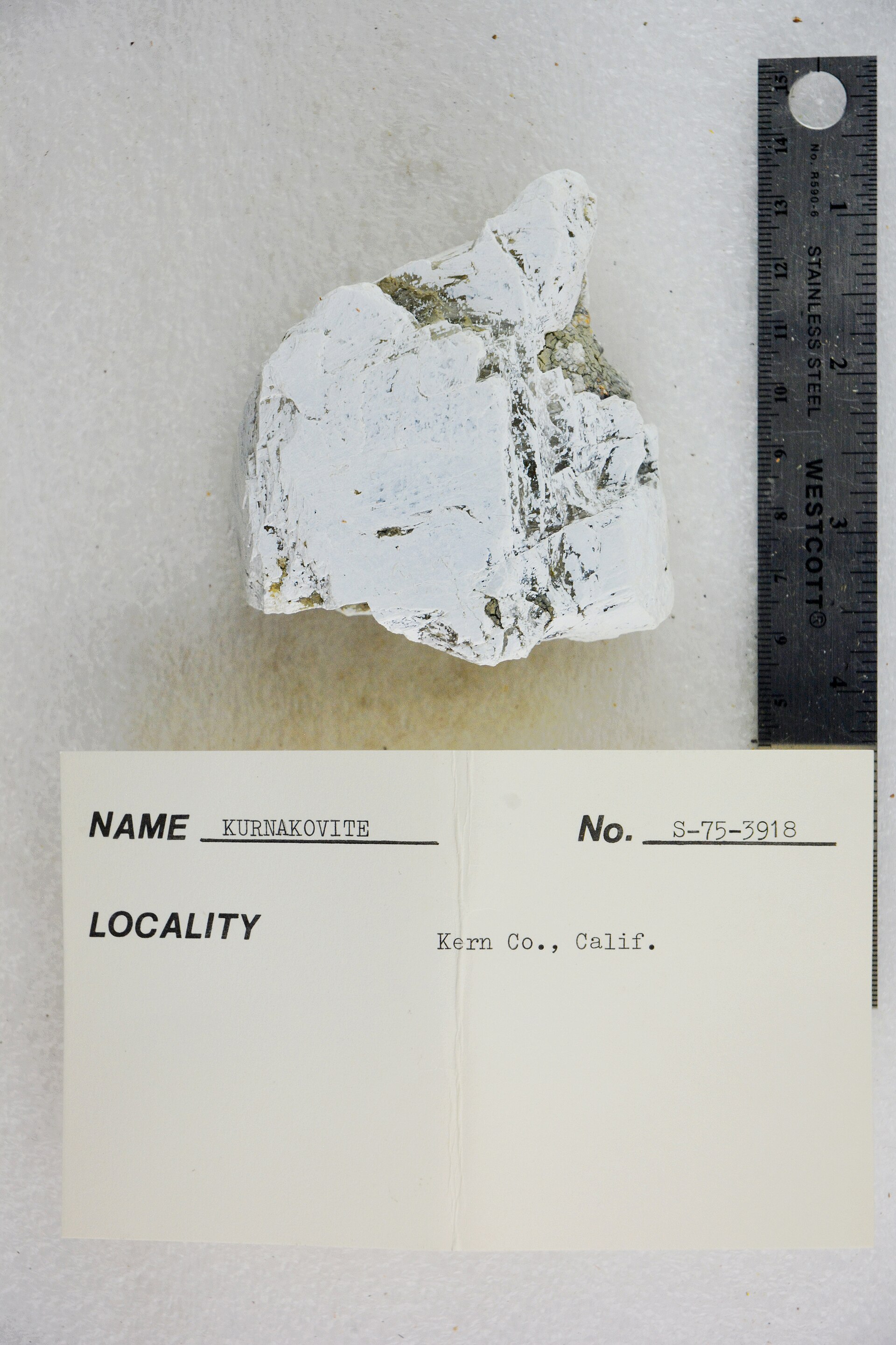 Kurnakovite specimen