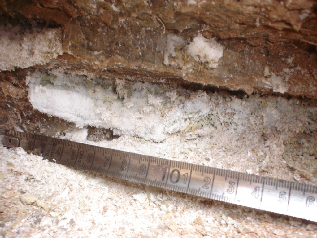 Mirabilite specimen