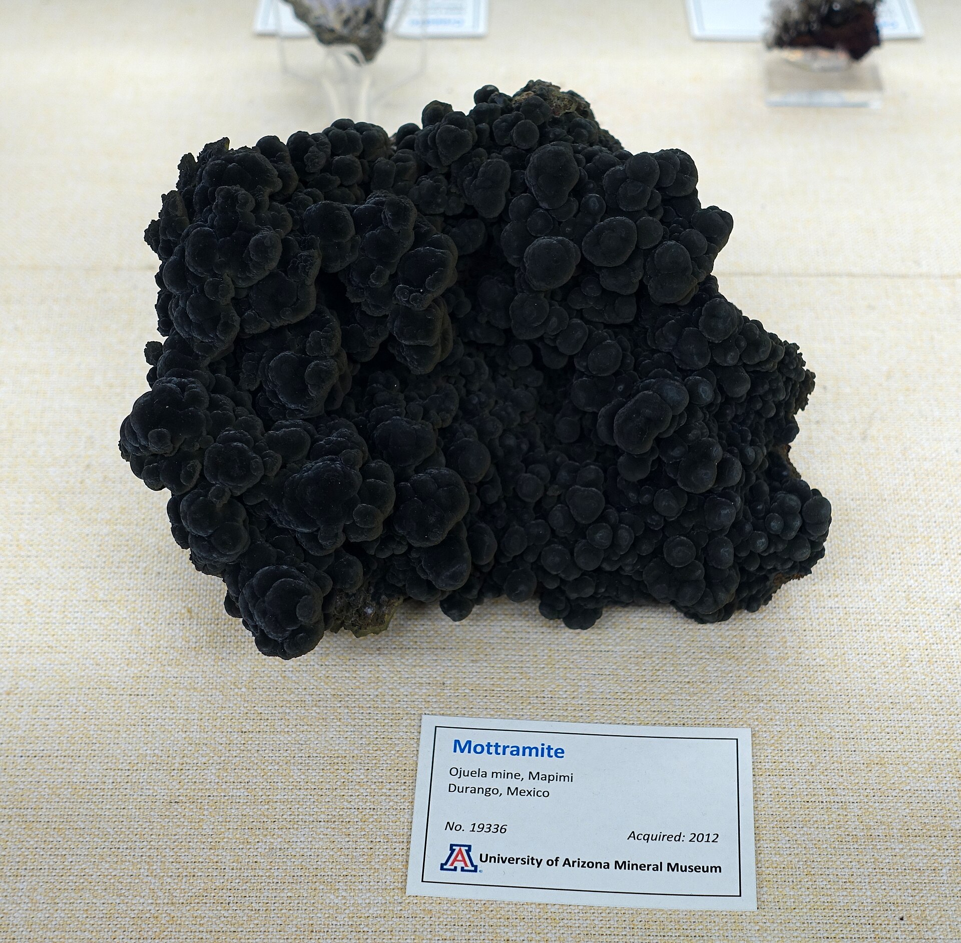 Mottramite specimen