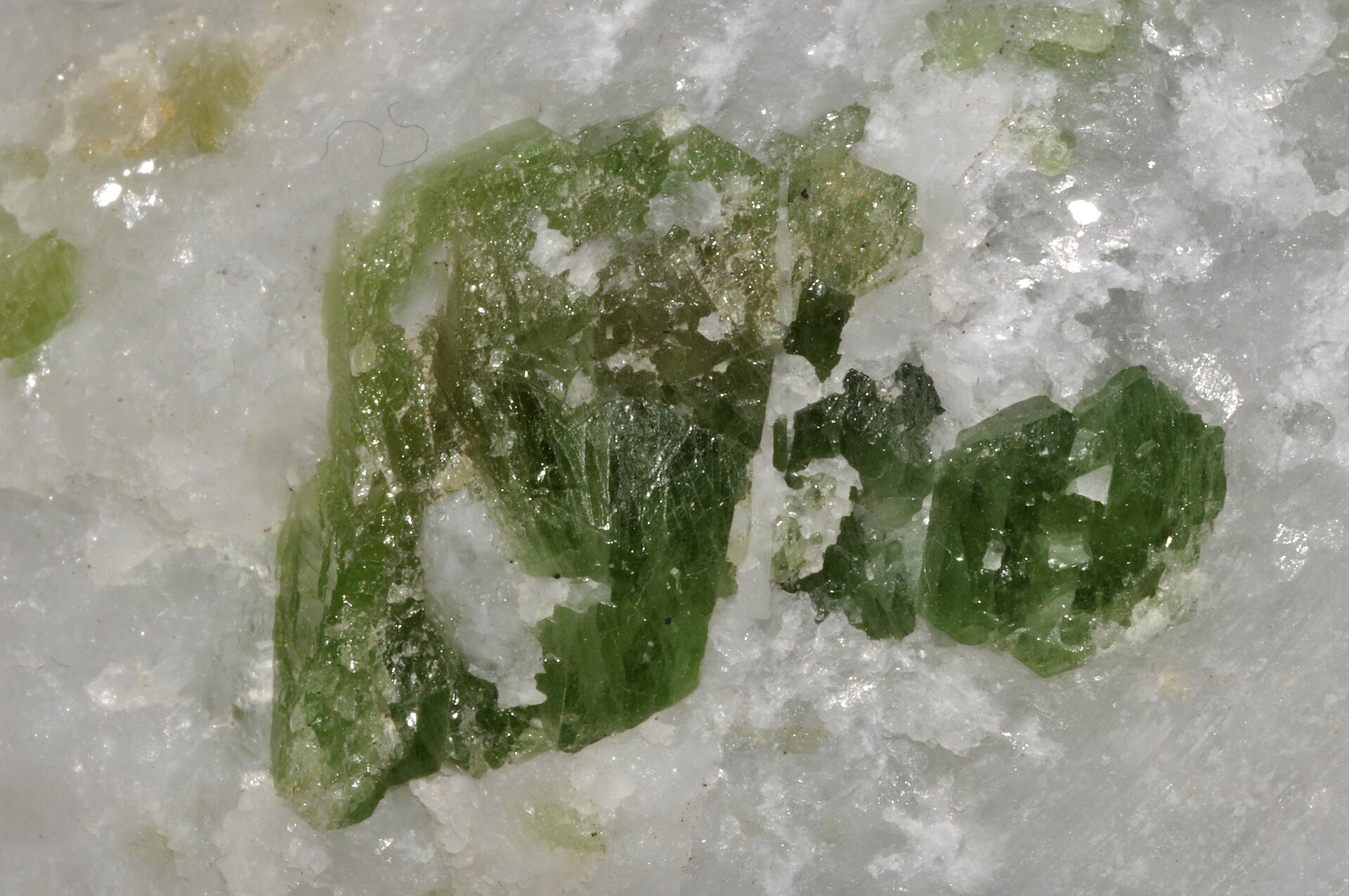 Pargasite specimen