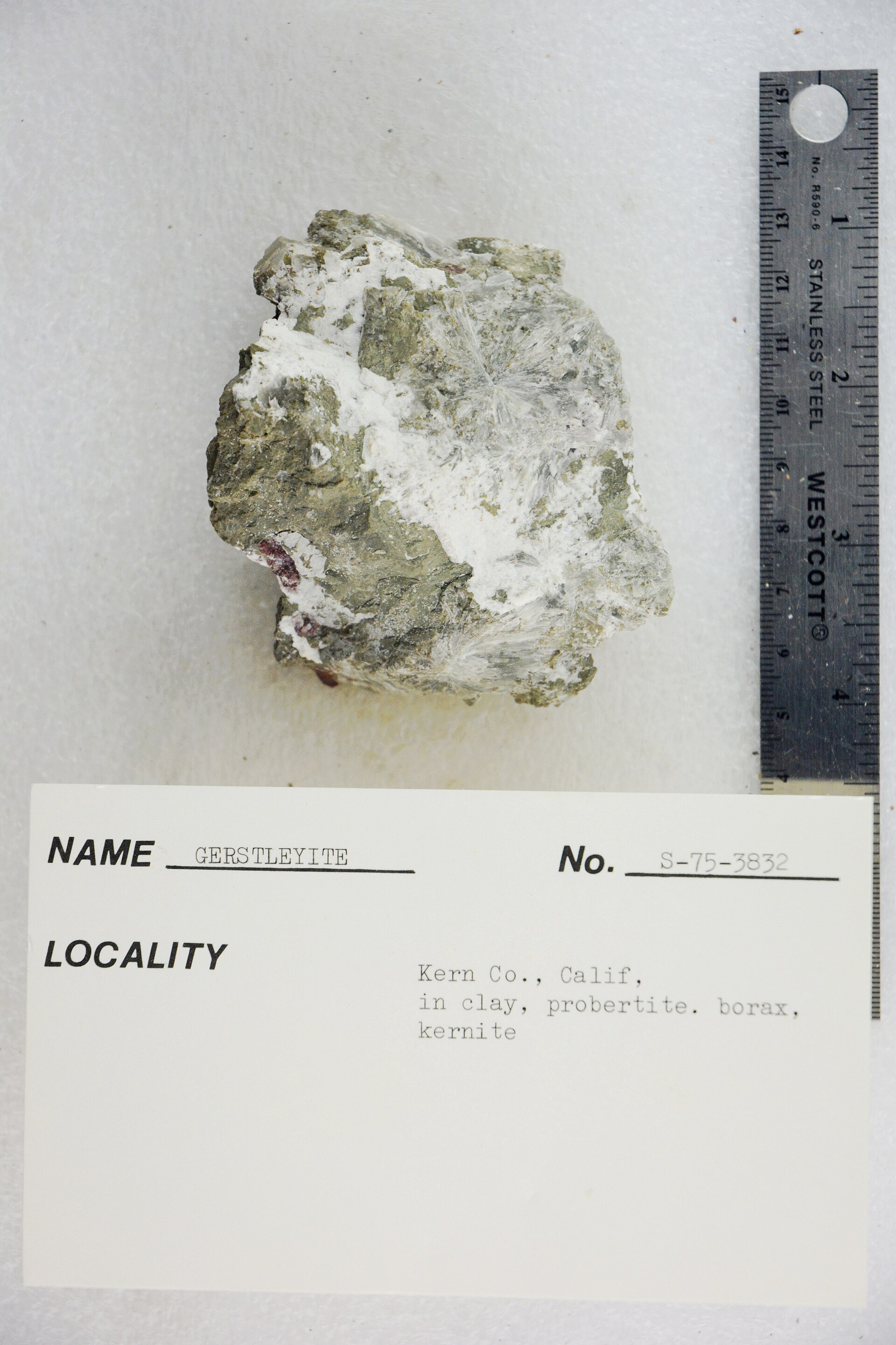 Probertite specimen