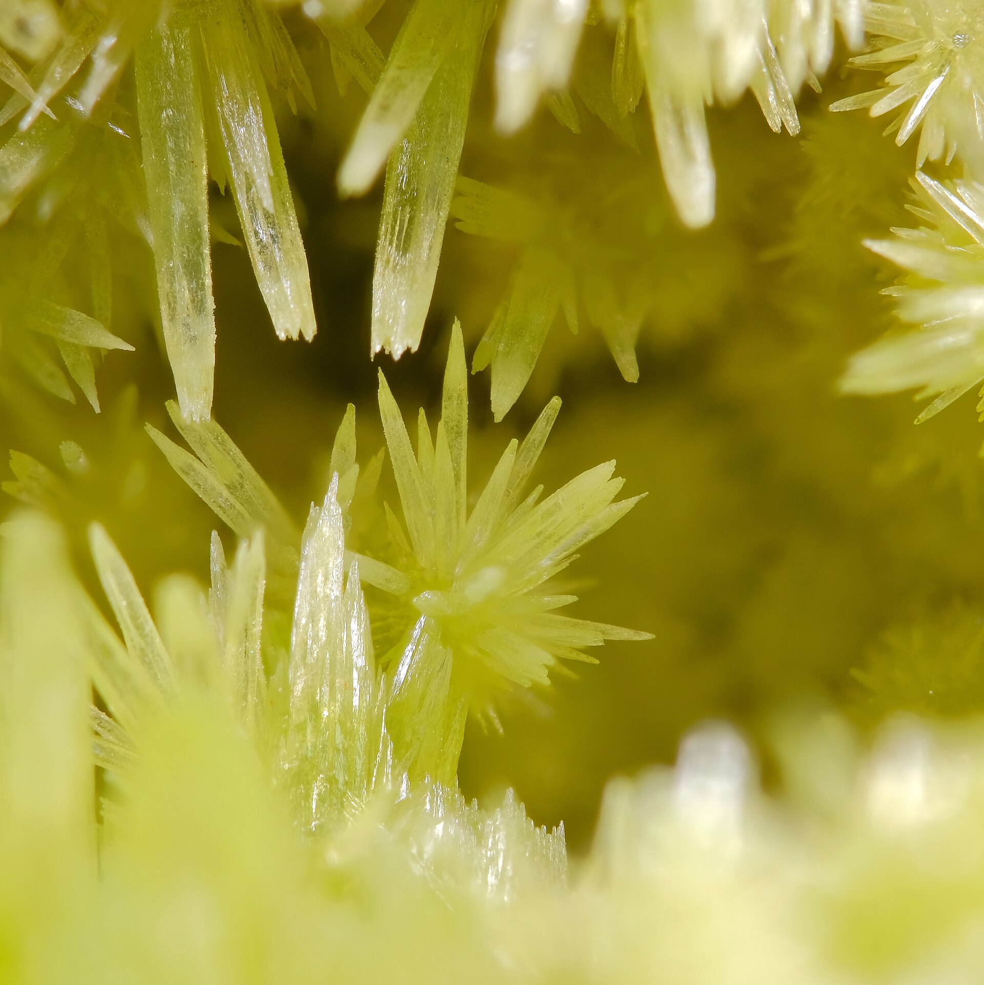 Pyromorphite