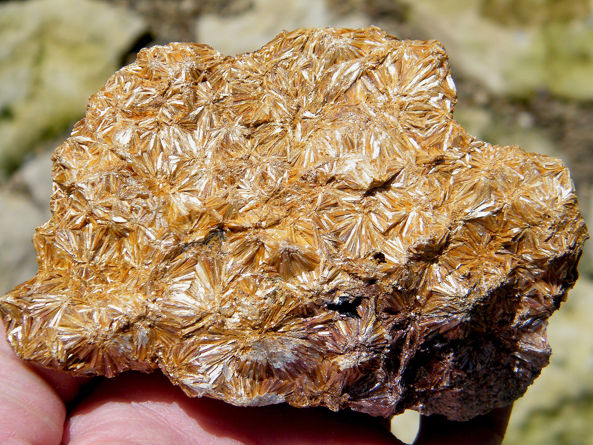 Pyrophyllite specimen