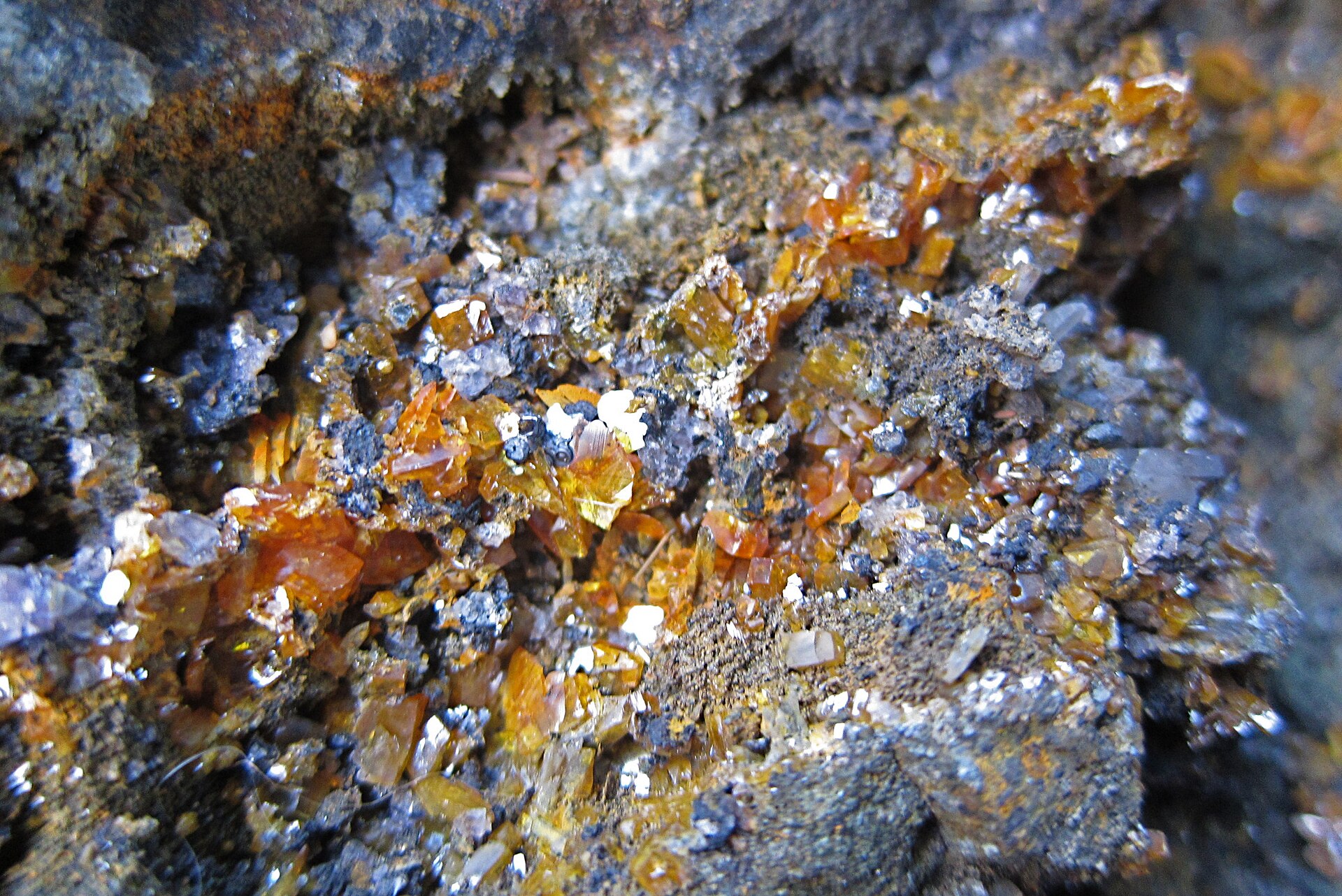Stolzite specimen