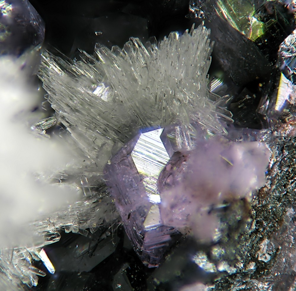 Strengite specimen